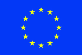 EU Flag