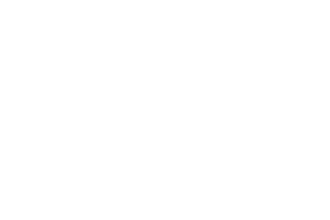 asl2 light