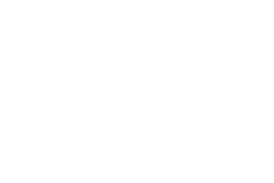 leonardo light